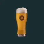 Tropical Sour Ale (0,5l)